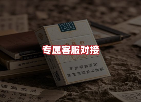 专业团队